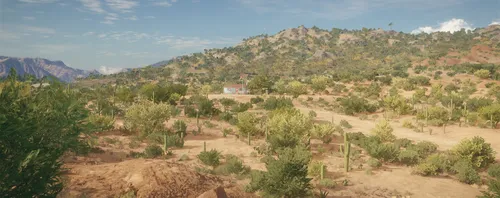 Rancho Del Arroyo